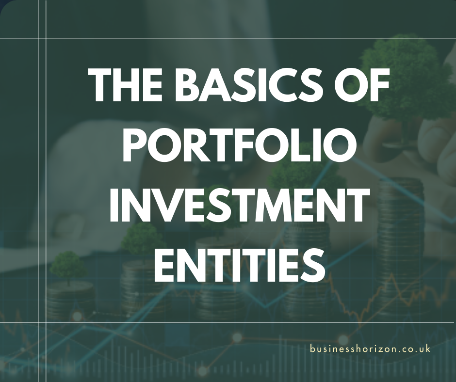 Portfolio Investment Entities