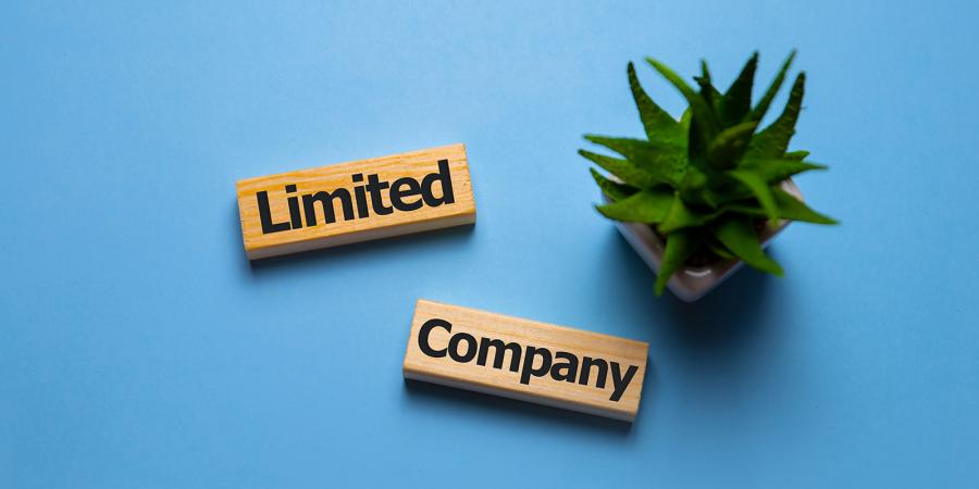 How Much Does It Cost to Start a Limited Company?